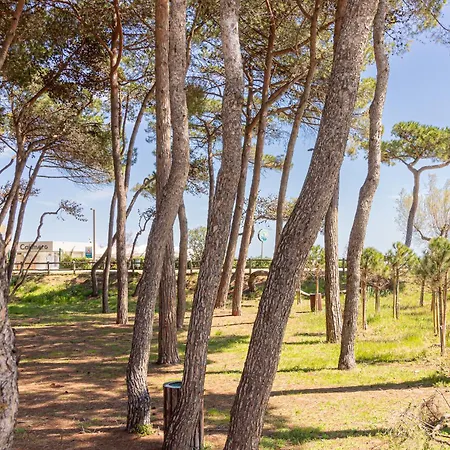 Il Riparo D'amare - Angolo Di Sole *